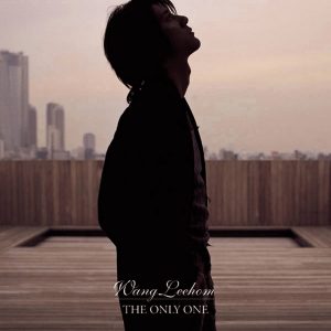 王力宏 - The Only One(日版)（2003/WAV/分轨/615M）