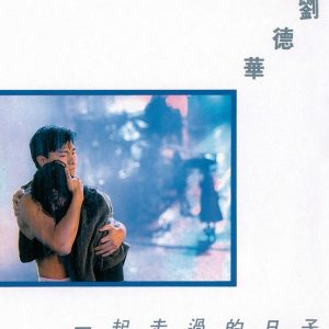 刘德华 - 一起走过的日子（1991/FLAC/分轨/264M）