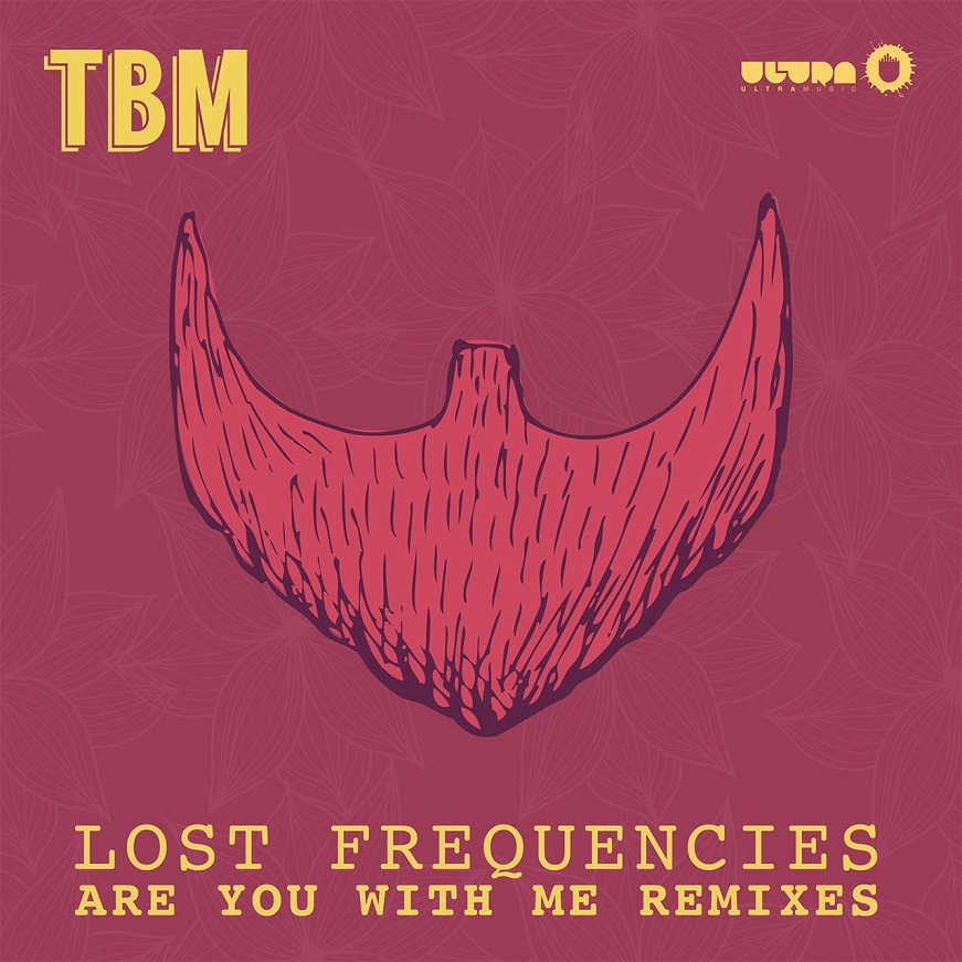 Lost Frequencies - Are You With Me (Remixes)（2015/FLAC/EP分轨/183M）