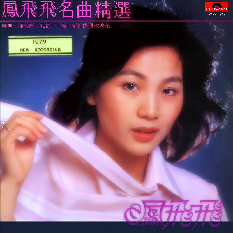 凤飞飞 - 名曲精选 1979 (24BIT录音版) [WAV+CUE/整轨/381M]