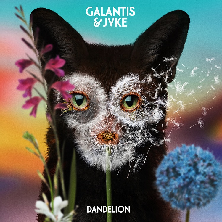 Galantis, JVKE - Dandelion单曲+Dandelion (Remixes)（2021/FLAC/Single-EP分轨/109M）(MQA/16bit/44.1kHz_24bit/44.1kHz-48kHz)