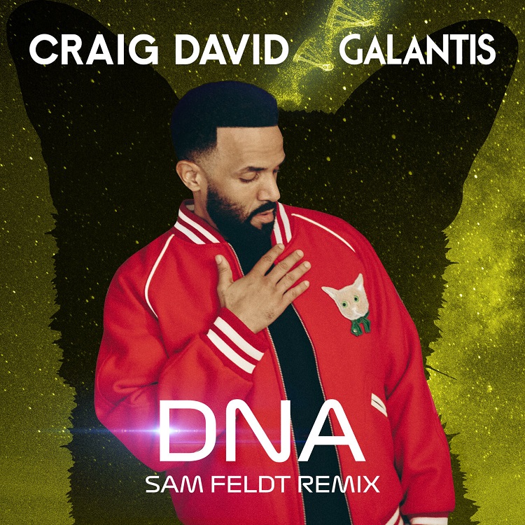 Craig David, Galantis - DNA (Sam Feldt Remix)（2022/FLAC/EP分轨/123M）(MQA/24bit/44.1kHz)